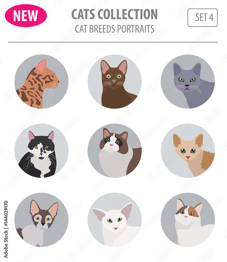 Cat breeds icon set flat style isolated on white. Create own infographic about pets Cat breeds icon set flat style isolated on white. Create own infographic about pets