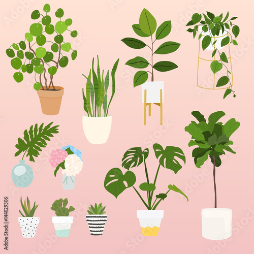 Set of decorative house plants. Flowerpot isolated objects, houseplant flower pot collection.