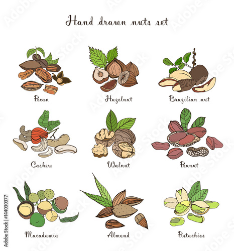 Nuts set, different kinds. Collection with almond, macadamia, pistachio, waln...