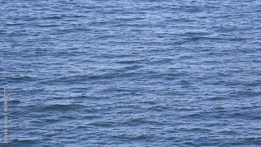 tropical blue see wave with sound 