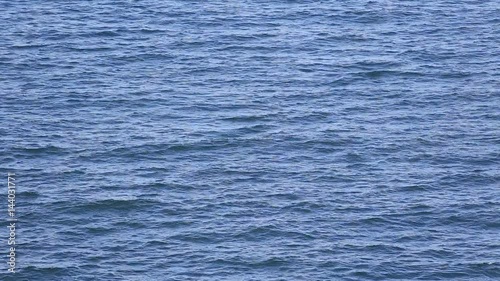 tropical blue see wave with sound 