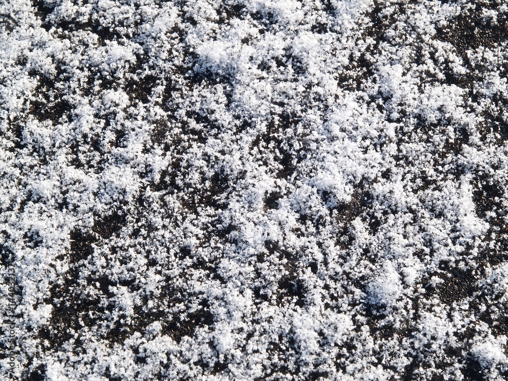 芝生に降り積もった雪 芝生に降り積もった雪