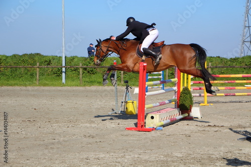 Saut d'obstacle lors d'un concours hippique