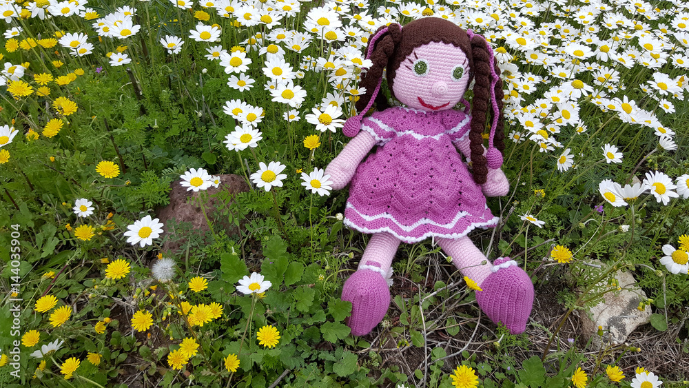 Doll in daisy field