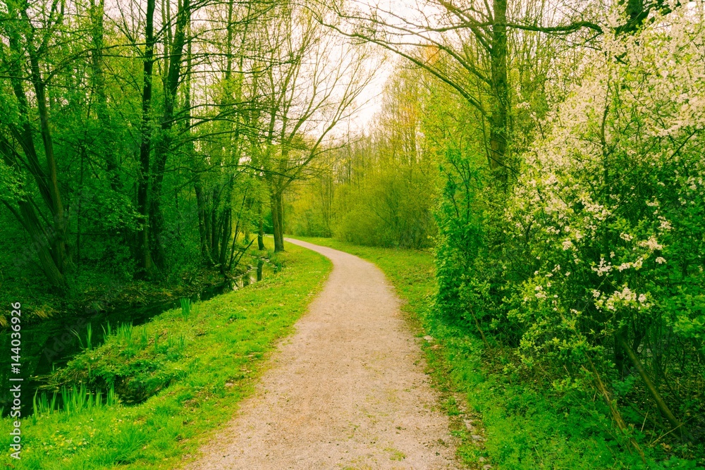 Fototapeta premium Park, Weg, Schieder, Lipperland