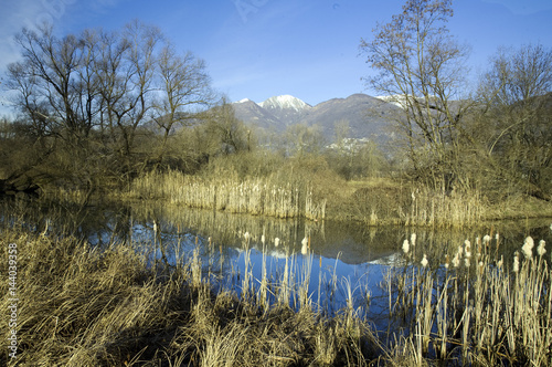 Bolle di Magadino photo