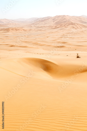 in oman  desert  outdoor  sand dune