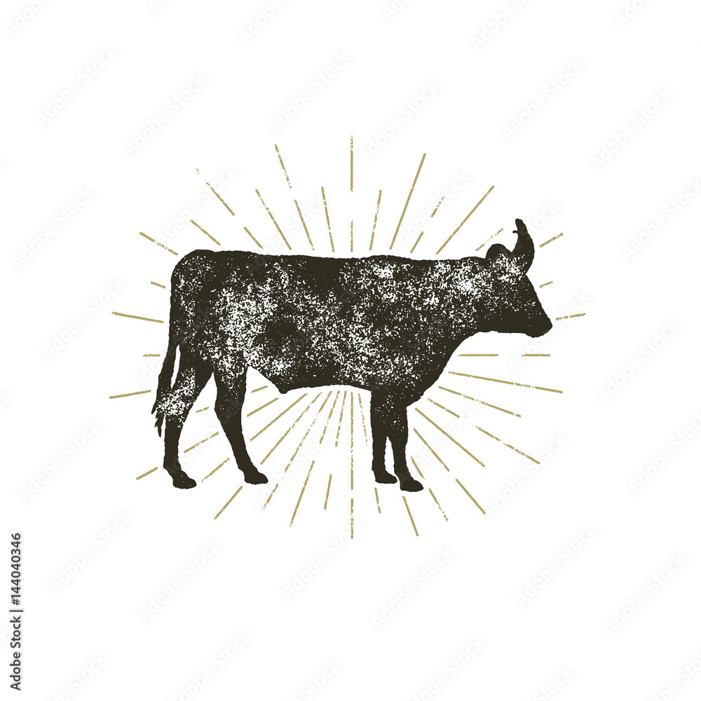 Vintage hand drawn cow icon. Farm animal silhouette shape. Retro black  style cow with sunbursts, isolated on white background. Vector Illustration Stock  Vector