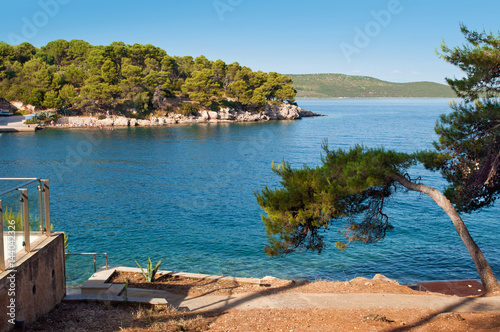 Transparent deep blue sea water and rocky coast with green forest, pine trees and hills on the back. Pine tree is leaning to the water. Bozava, Croatia, summer photo