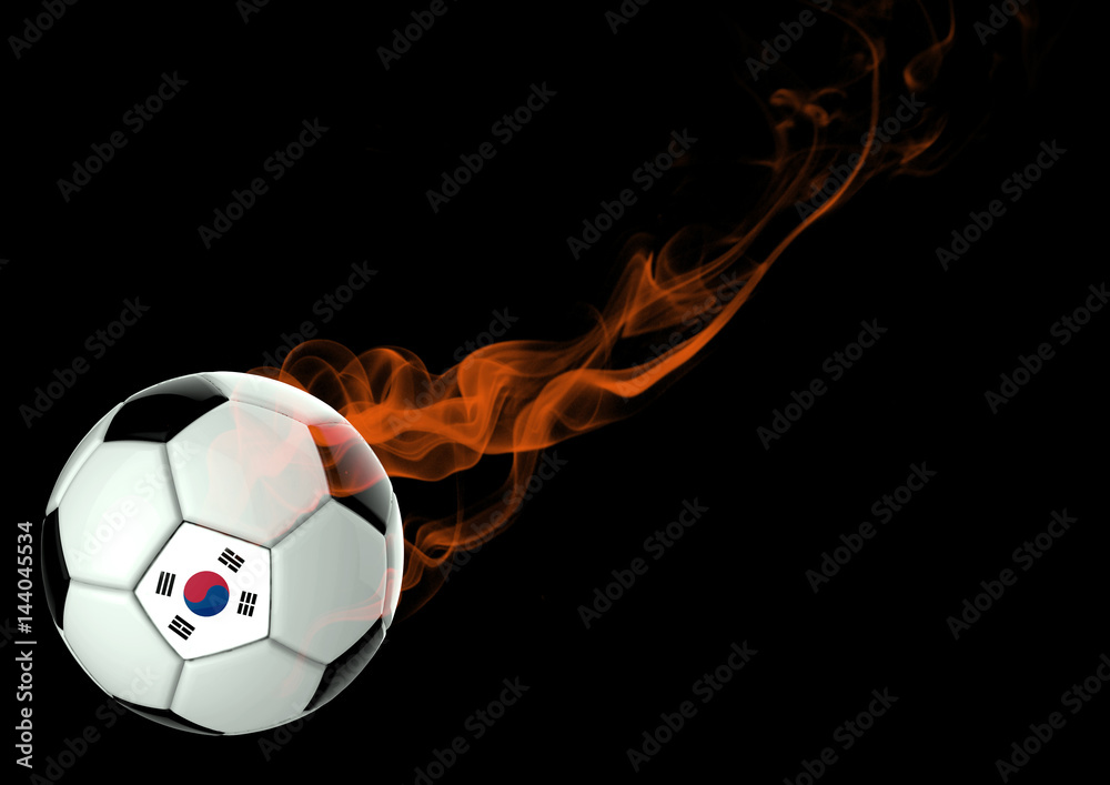 Fototapeta premium 3D illustration Soccer Ball Korea Flag
