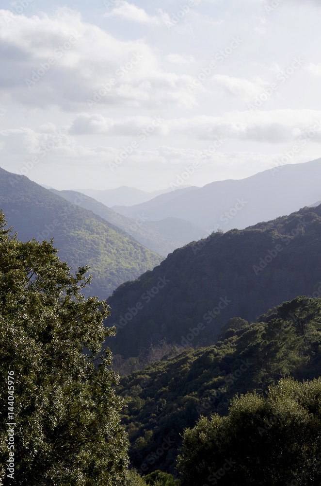 Fototapeta premium Corsican landscape