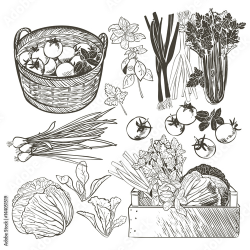 wooden crate full of fresh vegetables and herbs