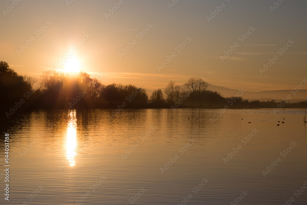 Obraz premium Beautiful sunset at the lake, with trees and sun reflecting on water and birds
