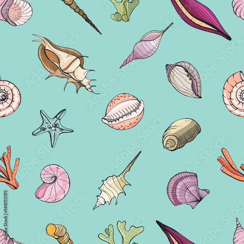 Hand drawn seamless pattern with seashells