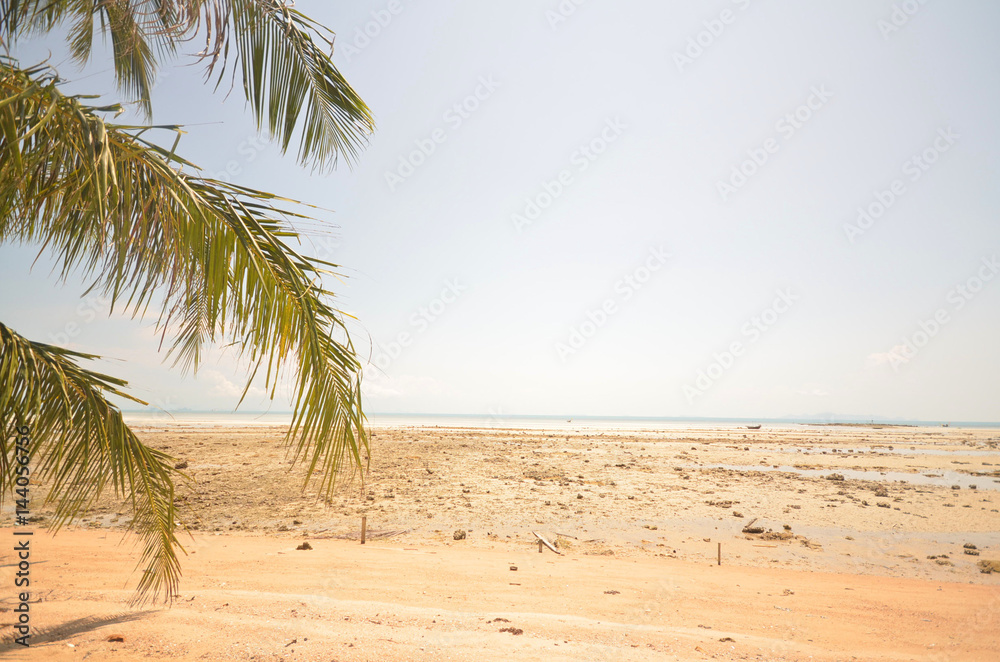 coconut and sea at Samui Island,thailand