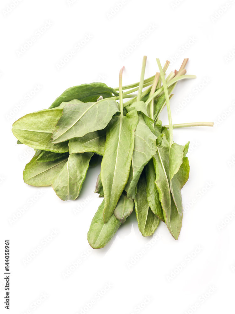 Fresh sorrel isolated