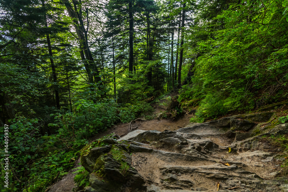 The Appalachian Trail The Appalachian Trail