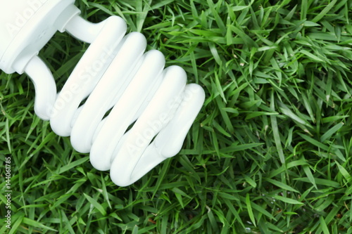 Modern coil lightbulb put on the grass floor.
