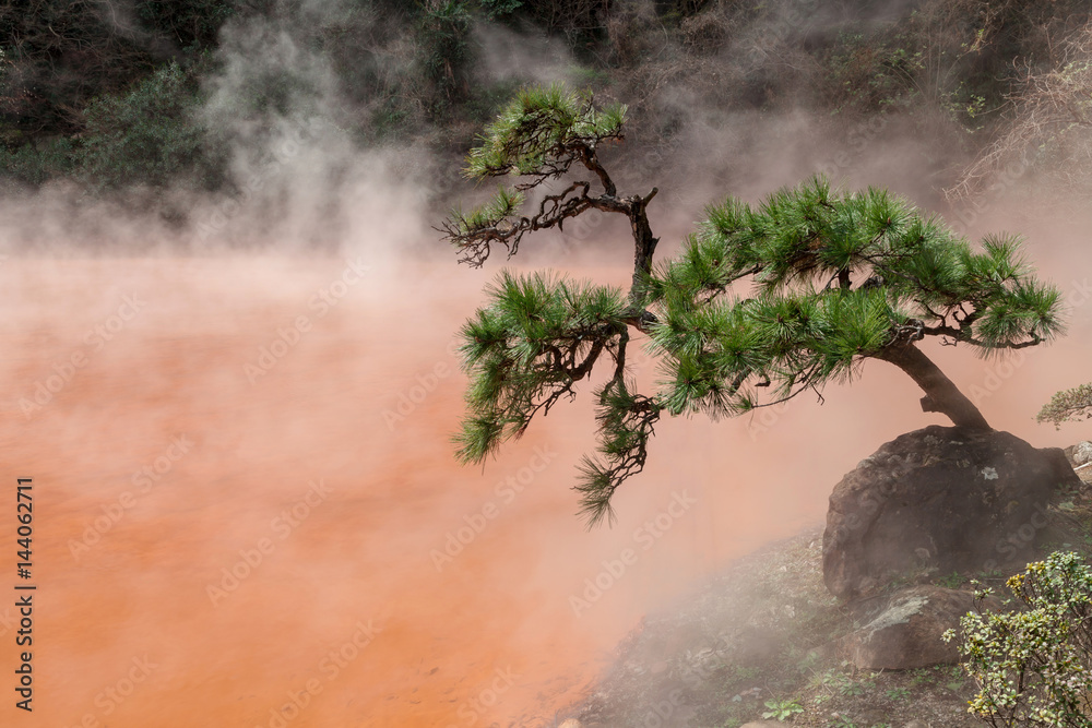 Chinoike-Jigoku (Blood Pool Hell) is one of eight Beppu hot spring tour.