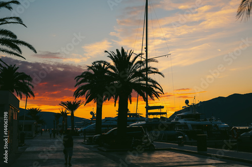 Silhouette of a palm tree at sunset. Montenegrin sunsets.