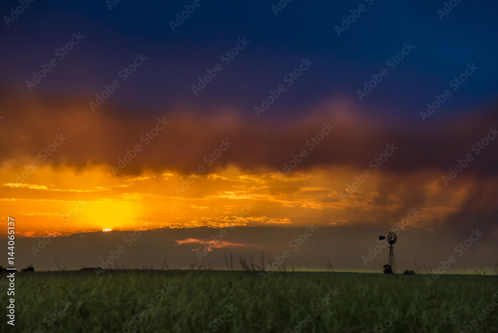 Pampas landscape, Argentina Pampas landscape, Argentina