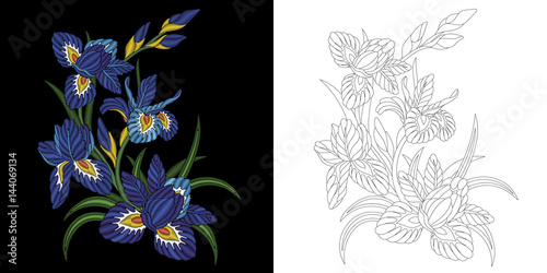 Fototapeta Naklejka Na Ścianę i Meble -  Embroidery design. Collection of floral elements for patches and stickers. Coloring book page with iris flowers bouquet.