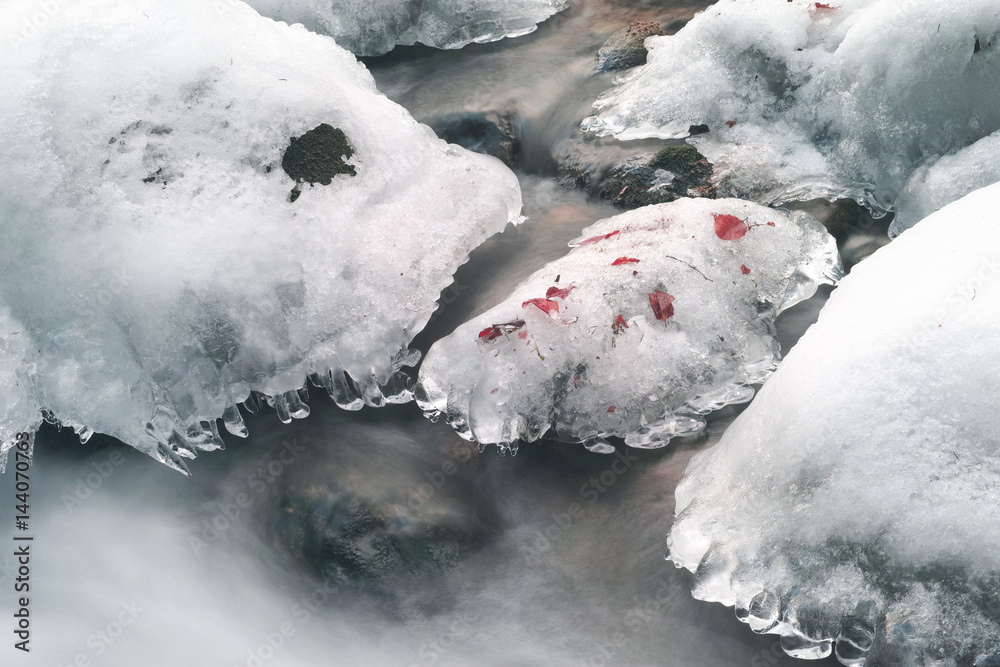 Frozen nature