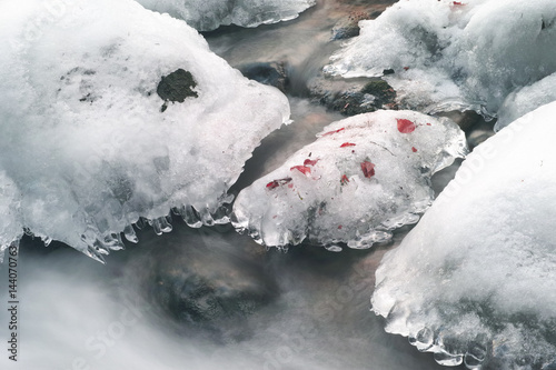 Obraz na płótnie Frozen nature w salonie