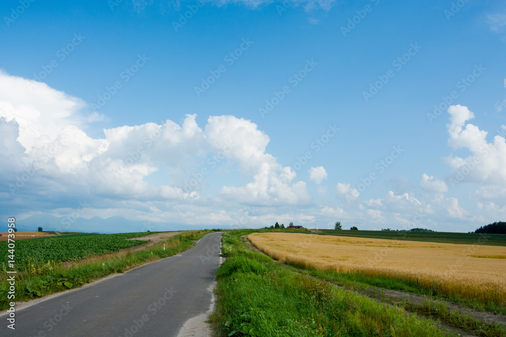青空と農村の一本道