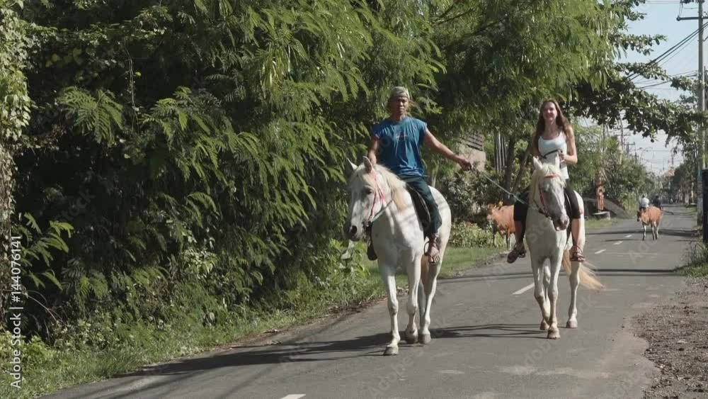 Horse riding southeast asian instructor leading white horse with young slim caucasian woman on street in Bali passing lush trees. Cows and motorbikers behind. (Horse riding lesson). Shot with Sony a7s Horse riding southeast asian instructor leading white horse with young slim caucasian woman on street in Bali passing lush trees. Cows and motorbikers behind. (Horse riding lesson). Shot with Sony a7s