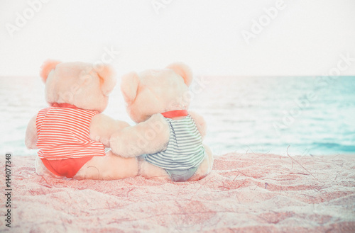 Teddy Bear sitting on beach photo