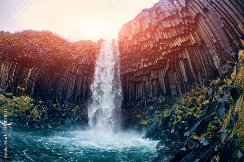 Fototapeta Naklejka Na Ścianę i Meble -  Svartifoss Black Fall , Skaftafell, Iceland. Dramatic waterfall surrounded by dark basalt lava hexagonal columns.
