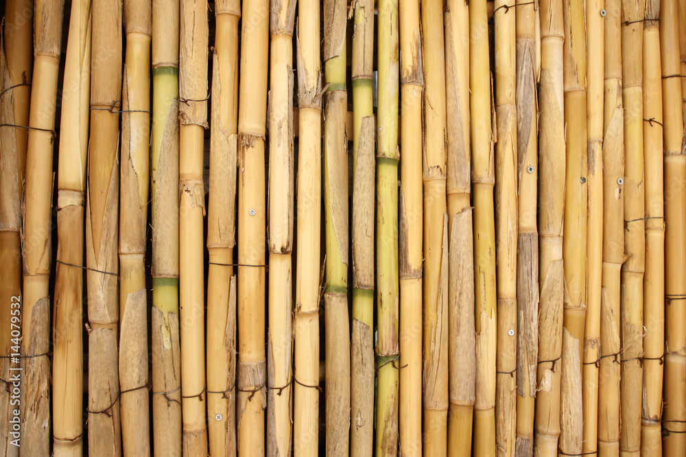 Background of bamboo stalks Background of bamboo stalks