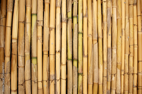 Background of bamboo stalks