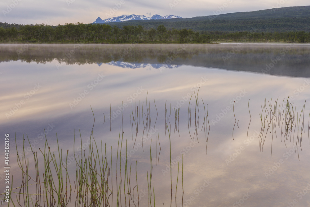 Pink clouds of the midnight sun reflected in the clear water of a swamp, Bogen, Evenes, Ofotfjorden, Nordland Pink clouds of the midnight sun reflected in the clear water of a swamp, Bogen, Evenes, Ofotfjorden, Nordland