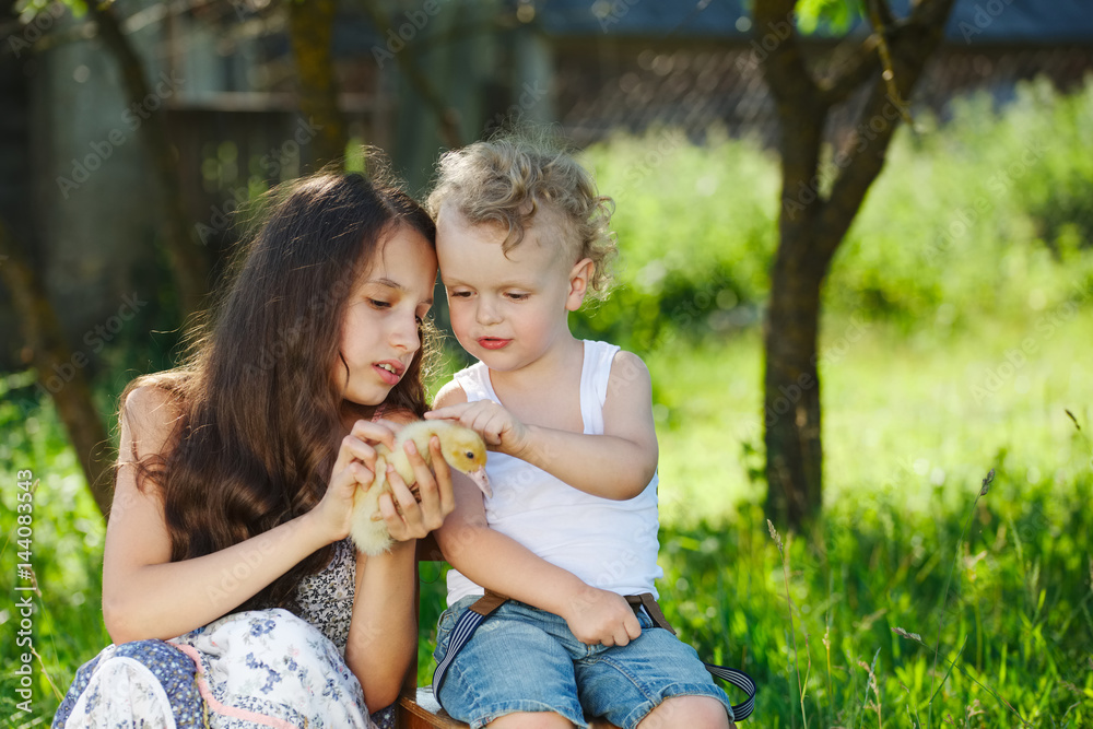family with little yellow duckling in summer Park family with little yellow duckling in summer Park