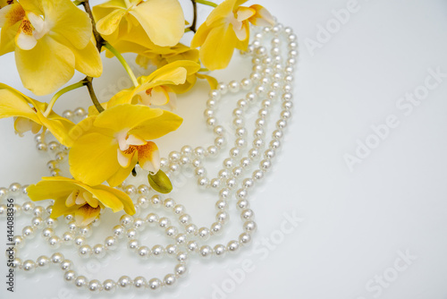 pearl and yellow Orchid on white glass