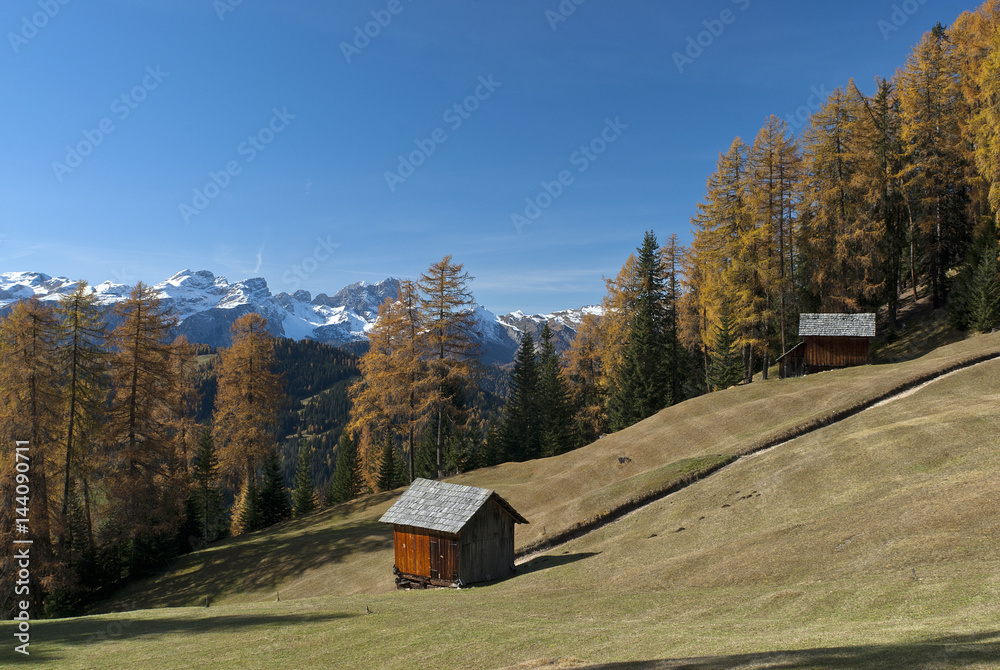 Alta Badia, Dolomites, South Tyrol, Italy. Autumn at the pastures of Ciavaza Alta Badia, Dolomites, South Tyrol, Italy. Autumn at the pastures of Ciavaza