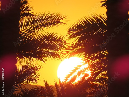 Egyptian Sunset © Robert