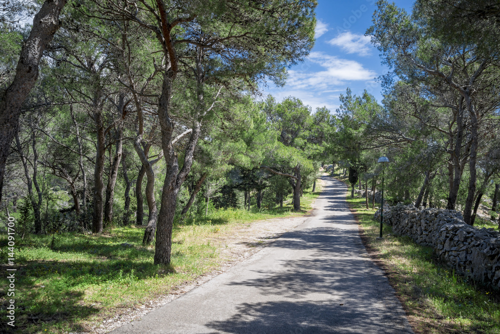 Epty path in Forest on Hvar island, Croatia