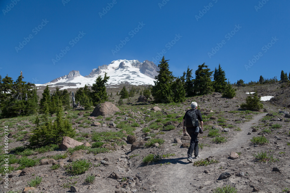 Lady hiker walking on a trail on Mount Hood, part of the Cascade Range Northwest region, Oregon Lady hiker walking on a trail on Mount Hood, part of the Cascade Range Northwest region, Oregon