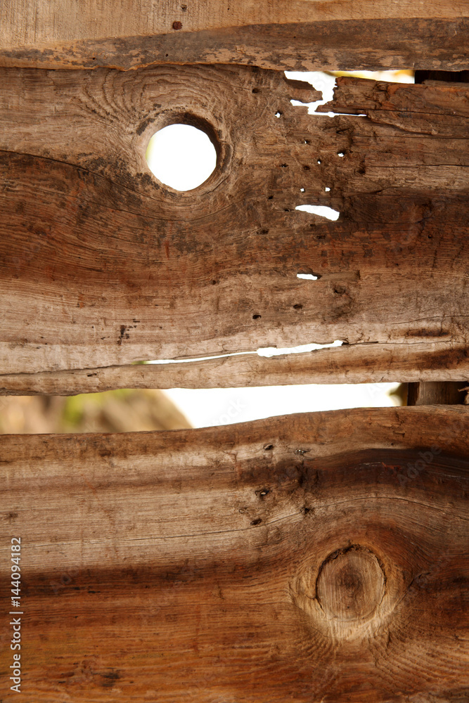 Fototapeta premium Natural Wooden Texture Background