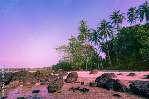 abstract beach and coconut tree with vintage filter - can use to display or montage on product