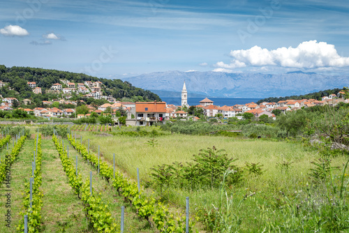 Wallpaper Mural Jelsa, Hvar, Croatia Torontodigital.ca