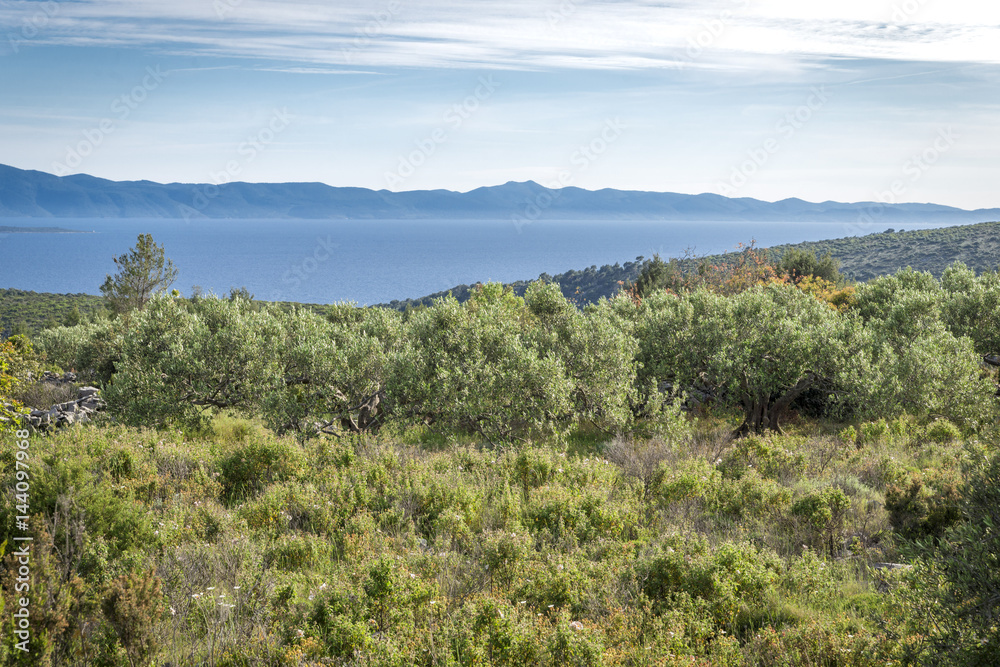 Landscape from beautiful Croatian island, Hvar, Croatia Landscape from beautiful Croatian island, Hvar, Croatia