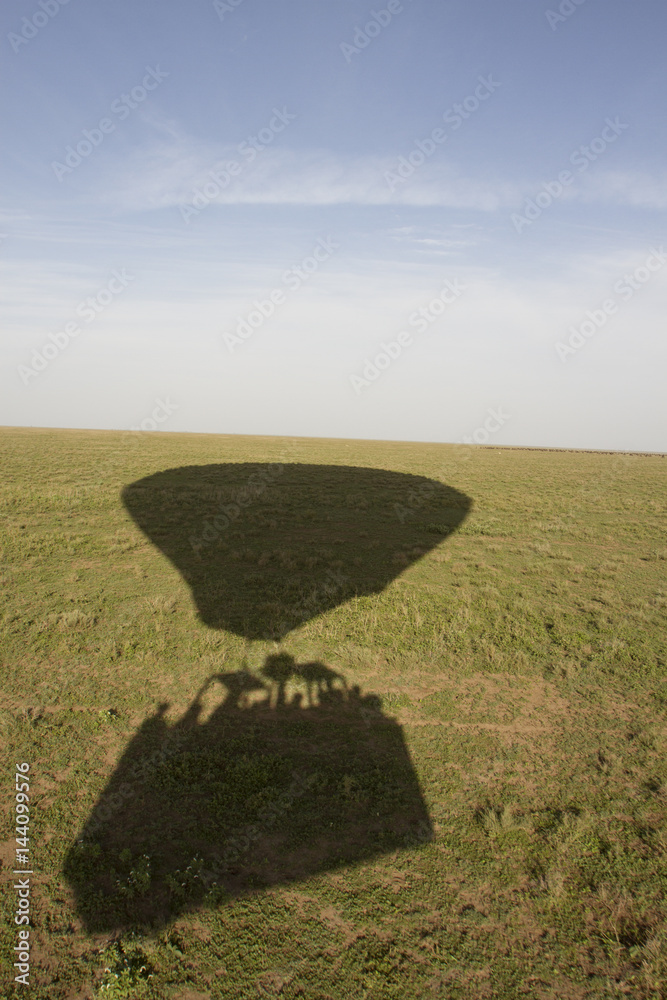 Fototapeta premium Silhouette of hot air balloon over Serengeti, Tanzania