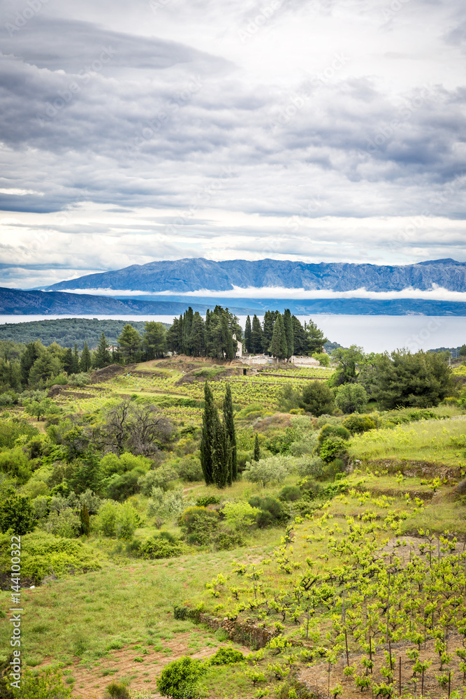 Obraz premium Beautiful Hvar island, Croatia