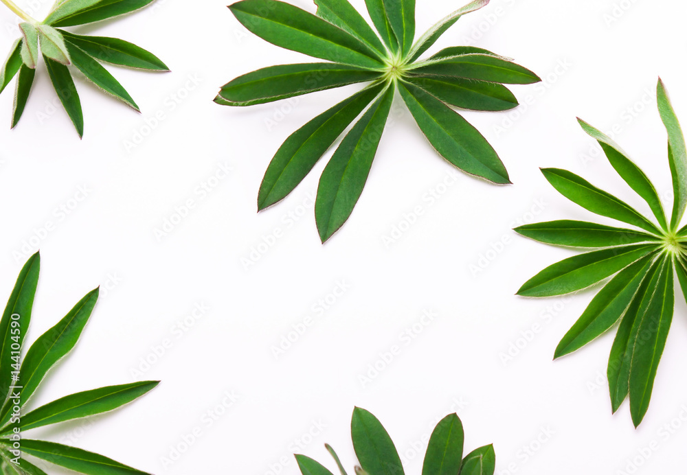 pattern of twigs, leaves on a white background.