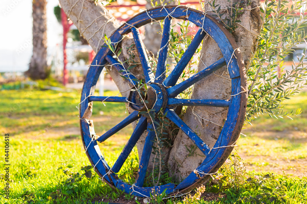 Concept of decor for garden - wooden wheel on a background of green grass