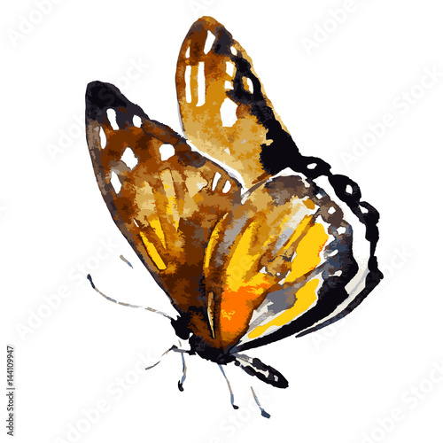 yellow butterfly,watercolor,isolated on a white